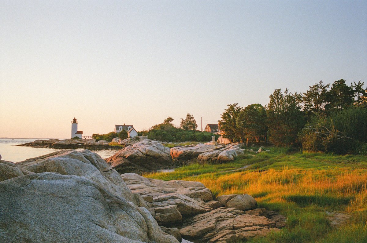 nev_in_color's tweet photo. pastels on 35mm film 🎞️ https://t.co/kwIhH8fYGQ