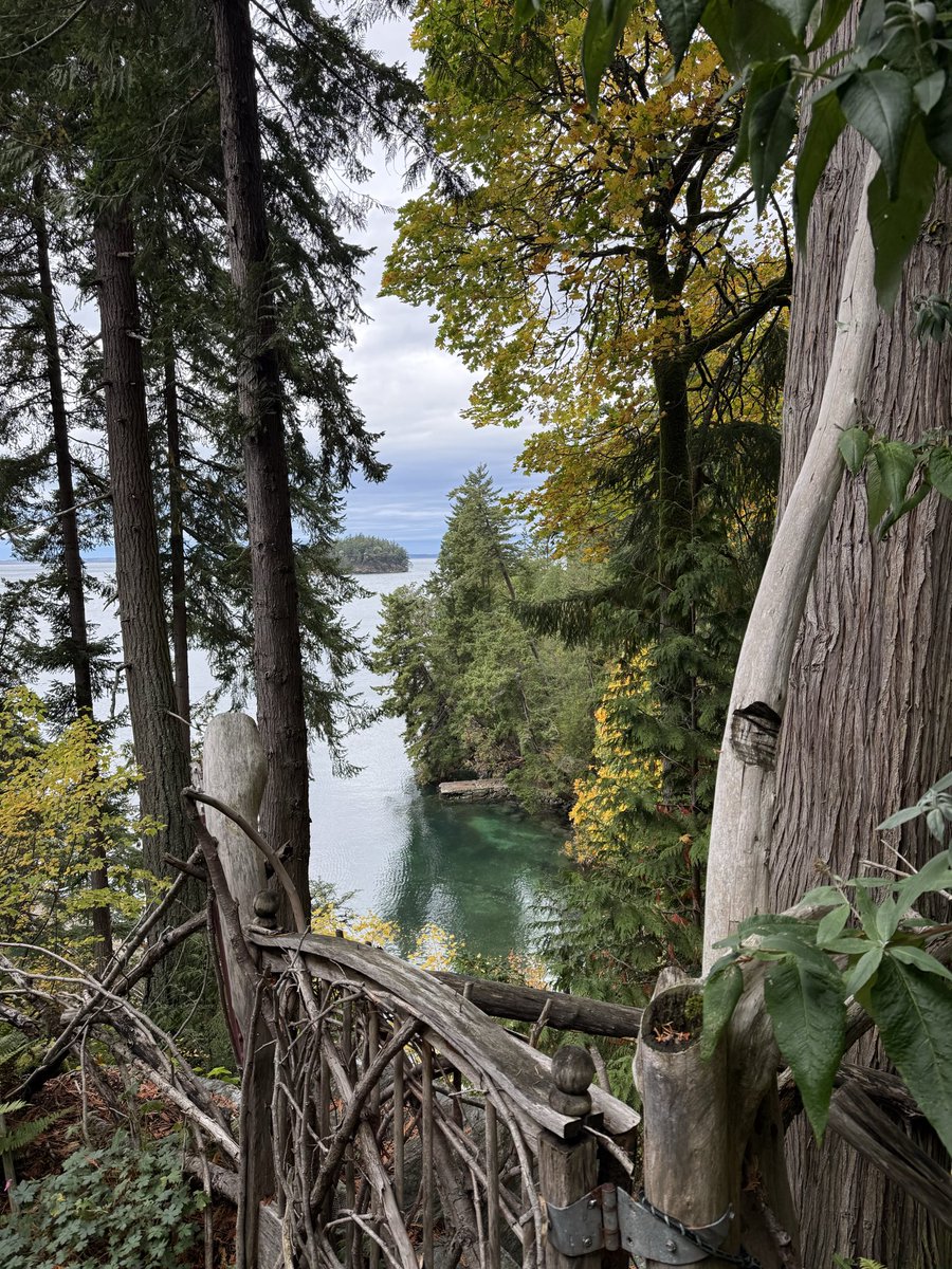 Imagine your childhood if this little cove was your front yard