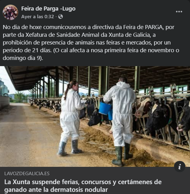 #otoño #lifestyle #viajes #FeiradeParga
#galicia #caminodesantiago #aves #galiciacalidade #artesanía #rural #guitiriz #canteiros #lugo #coruña #pontevedra #trip #ourense #ferrol #betanzos #viajar #flores #turismo #terrachá #travelgram #pilgrim #caminodelnorte.#travelbloggers