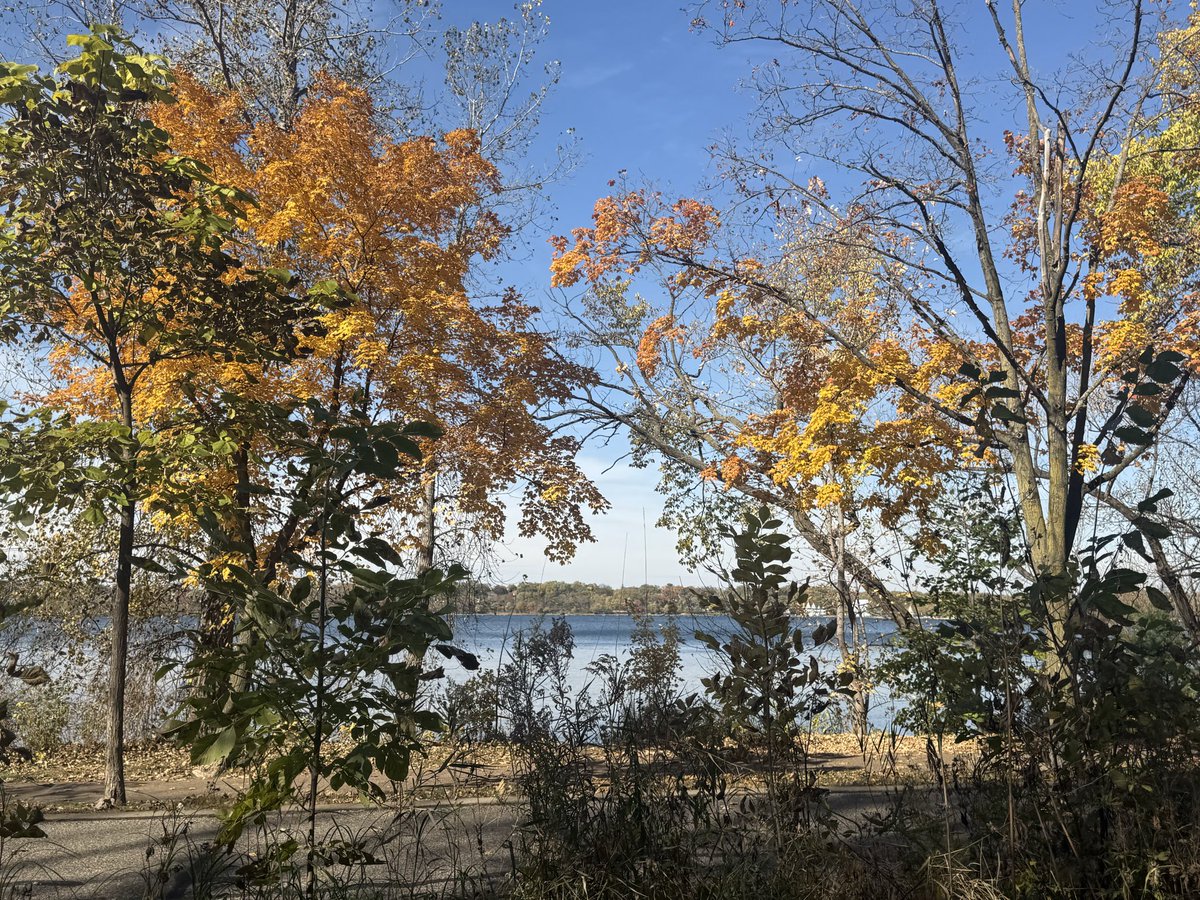 MASlipka's tweet image. Hey Twin Cities- get out today if you can. It’s stunning.  Near the Lakes.   #Mpls  #lakeharriet