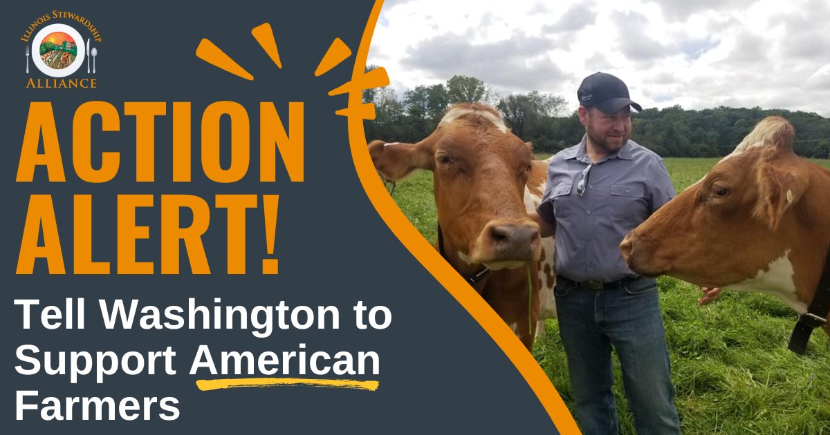 ILStewards's tweet image. Farmers are struggling while big corporations profit. Imports drive down prices for farmers — not for you. It’s time for Washington to act. Enforce antitrust laws. Restore fair markets. Support American farmers.

✊ Add your voice: secure.everyaction.com/OnjeeK9lZE-gE5…