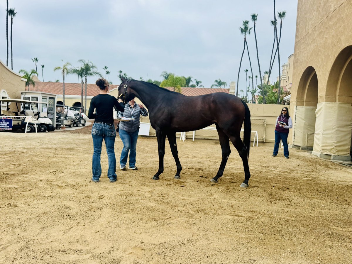 Ground Support settling in at  Del Mar.