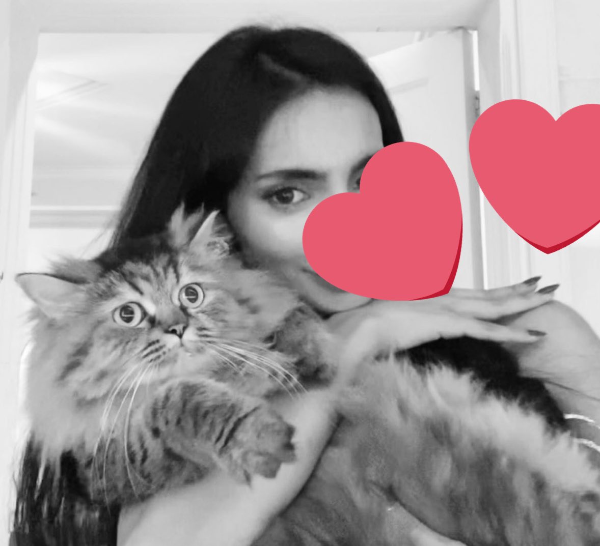 ما اظن هذا الوجه يجي منه ضرر ١٪ ❤️