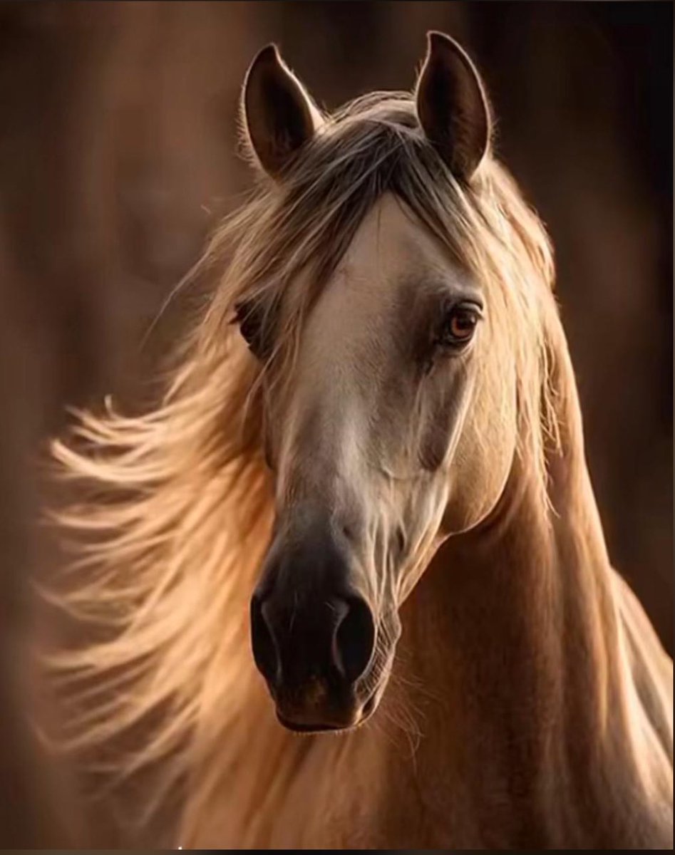 #مساء_الخير_والسعاده_للجميع 

سبحان من خلق فأبدع