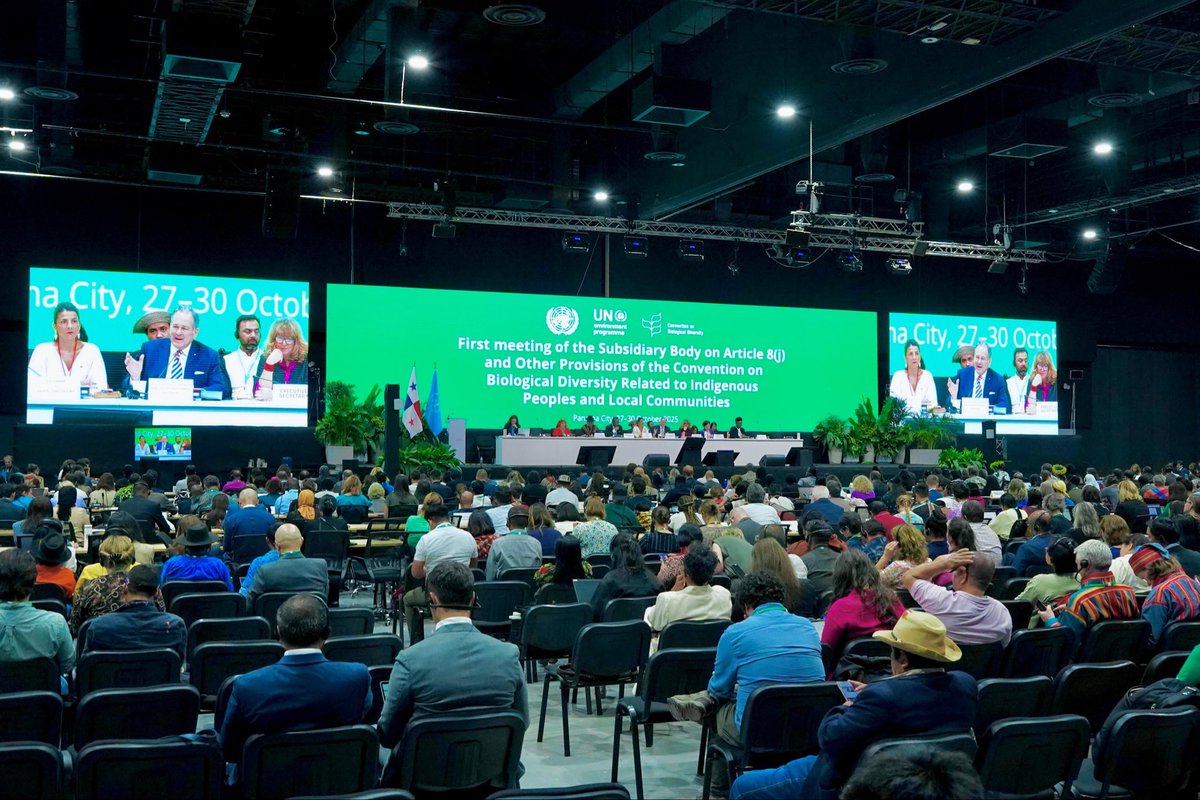 MinAmbienteCo's tweet image. La ministra (e) @IreneVelezT, presidenta de la #COP16 de biodiversidad, declara abierta la primera reunión del Órgano Subsidiario del Artículo 8(j) en Panamá 🇵🇦.

💬 “Hoy hacemos realidad un compromiso histórico: que los Pueblos Indígenas tengan voz y decisión en la gobernanza