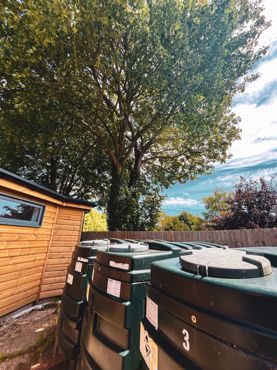 abouttrees's tweet image. Large sycamore reduction in Elham 🌳
 Tight access, oil tanks &amp;amp; conservation area consent all managed safely by our 3-man team.

Completed in one day 👏

https://.www.abouttrees.co.uk

#TreeWork #Elham #KentTrees #Arborist #TreeCare