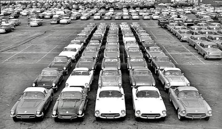 📸 Caption this photo!

 Rows and rows of brand-new Corvettes — imagine being the one who got to pick their favorite! 😍

 What do you think is happening here?

 #CorvetteHistory #CaptionThis #ClassicCorvette #VetteVues