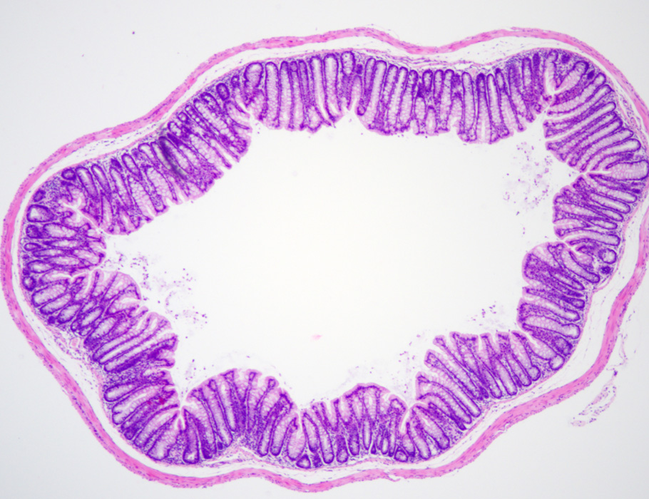 Science Magazine tweet media