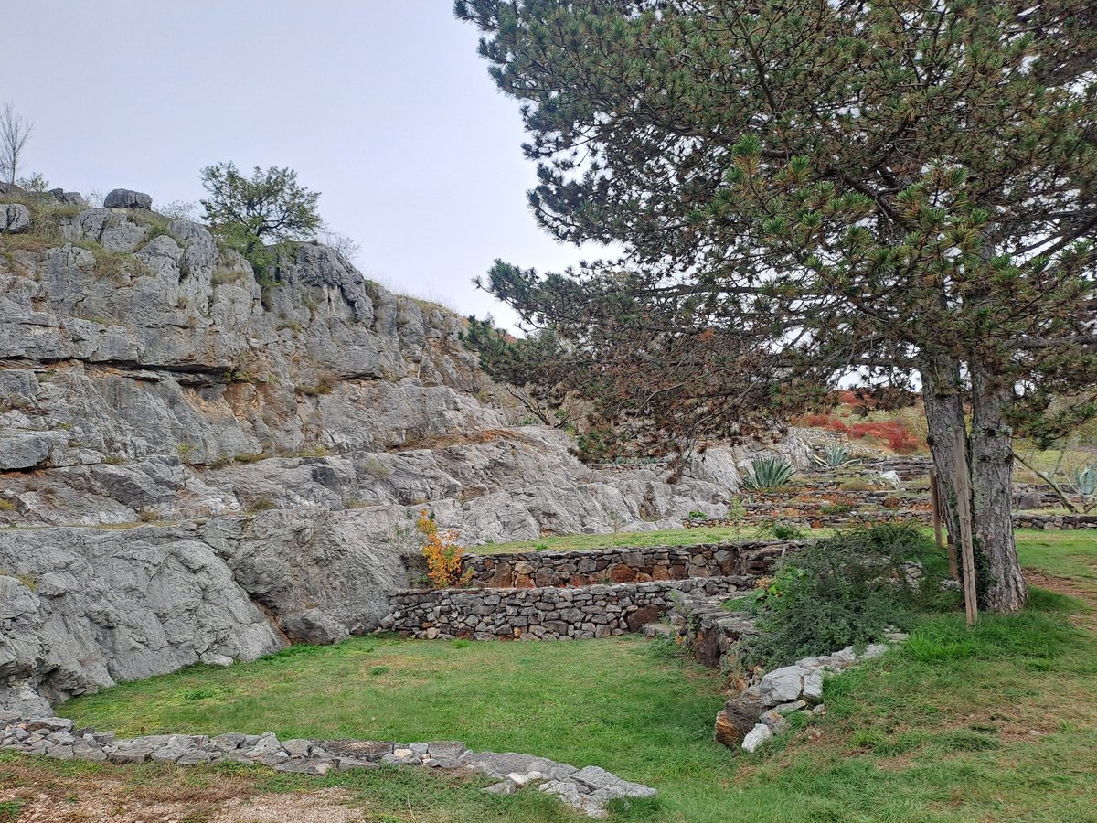 bertoli1966's tweet image. 2 km from my house and I have never been here..area Polazzo Redipuglia.
WW1 italian positions and a special spot.