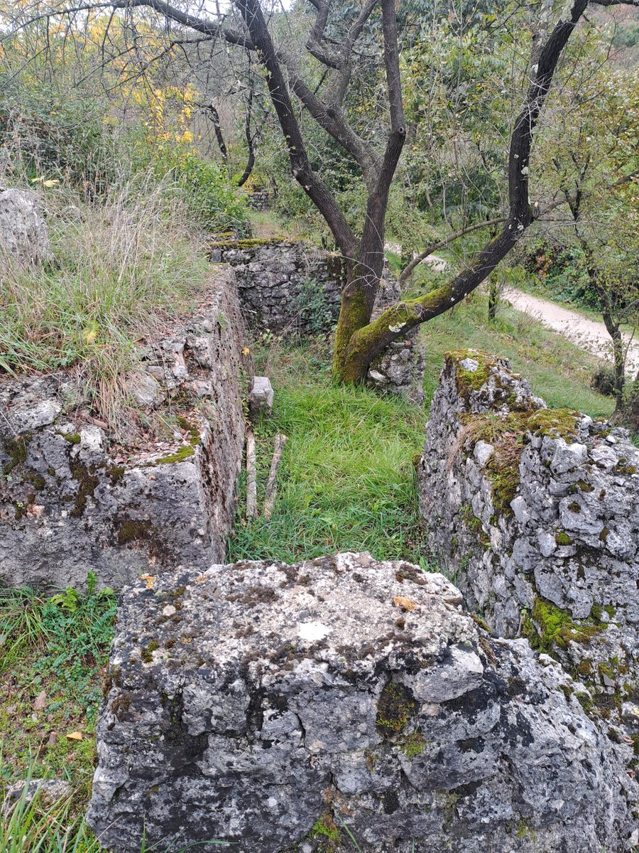 bertoli1966's tweet image. 2 km from my house and I have never been here..area Polazzo Redipuglia.
WW1 italian positions and a special spot.