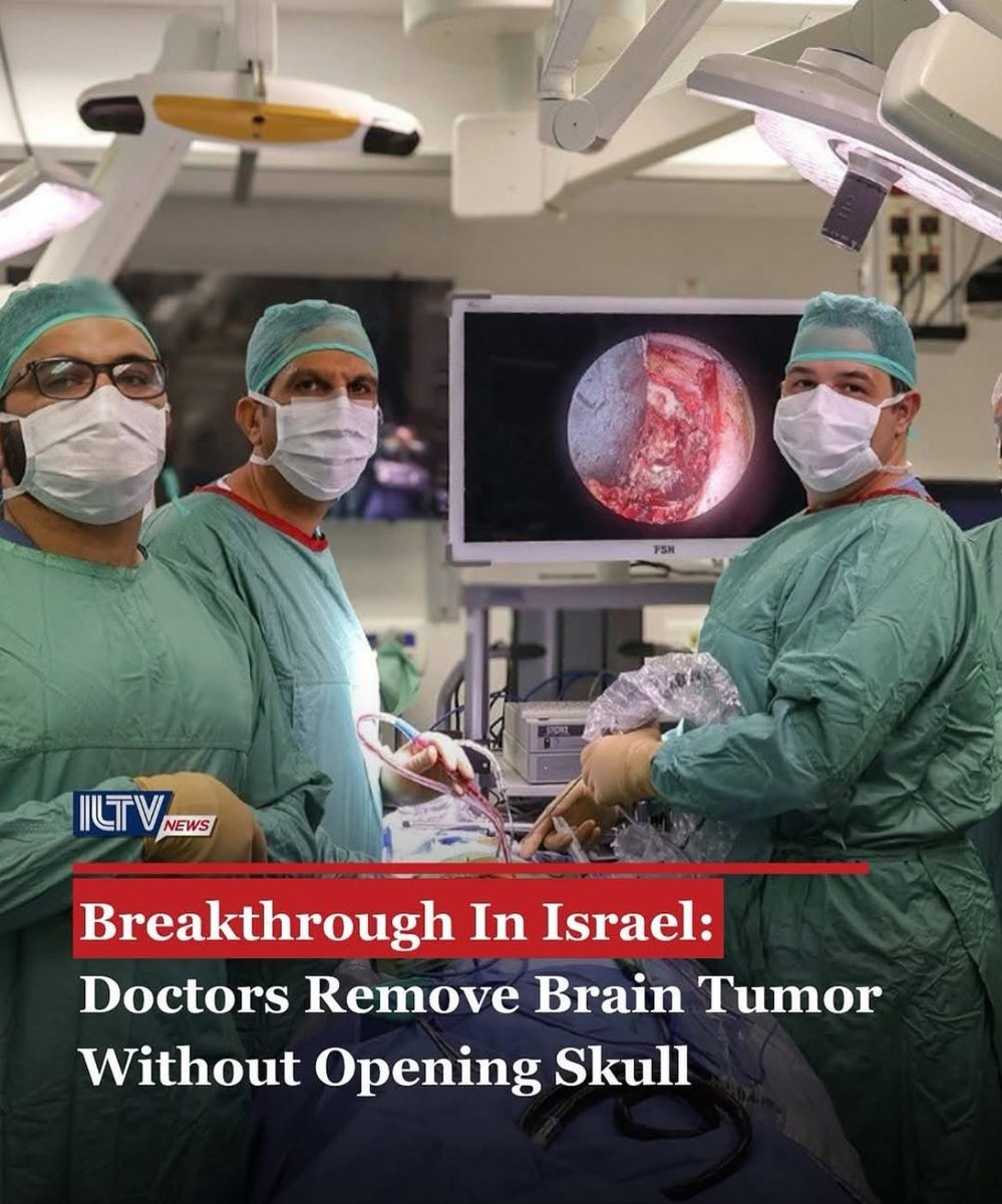 emandelbaum tweet media