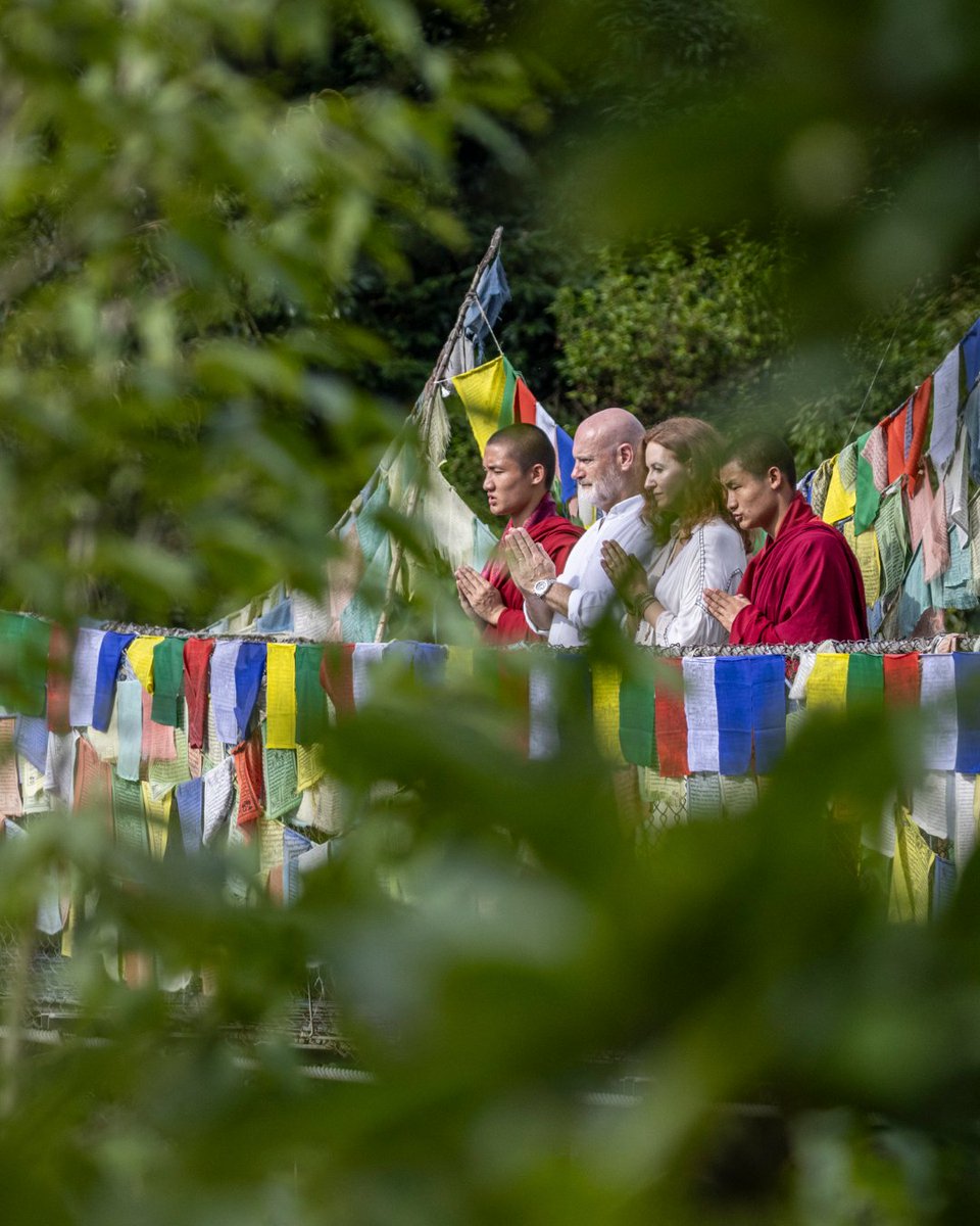 Stay Beyond Green tweet media