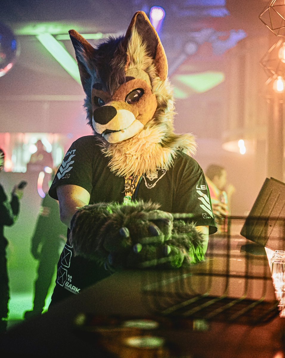 KiroCoyo's tweet photo. This silly coyote can‘t wait to party again! 🎉
Who am I gonna see at #BFD17?

📸 by @TheGermanWolf https://t.co/8t9zRBlSCc