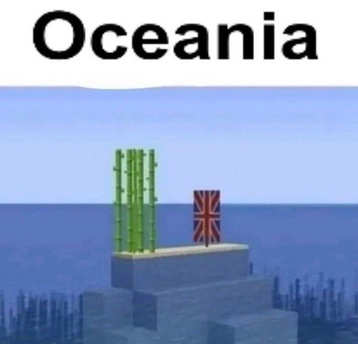 chincheto pirata somali (@wikipistacho) on Twitter photo 