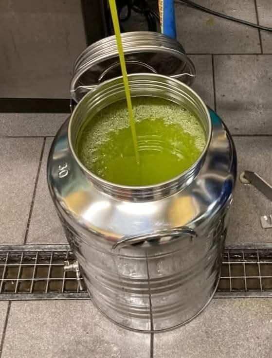 Anna 🪄⚡ tweet media