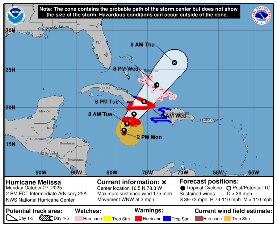 Blizzard of 2026 tweet media