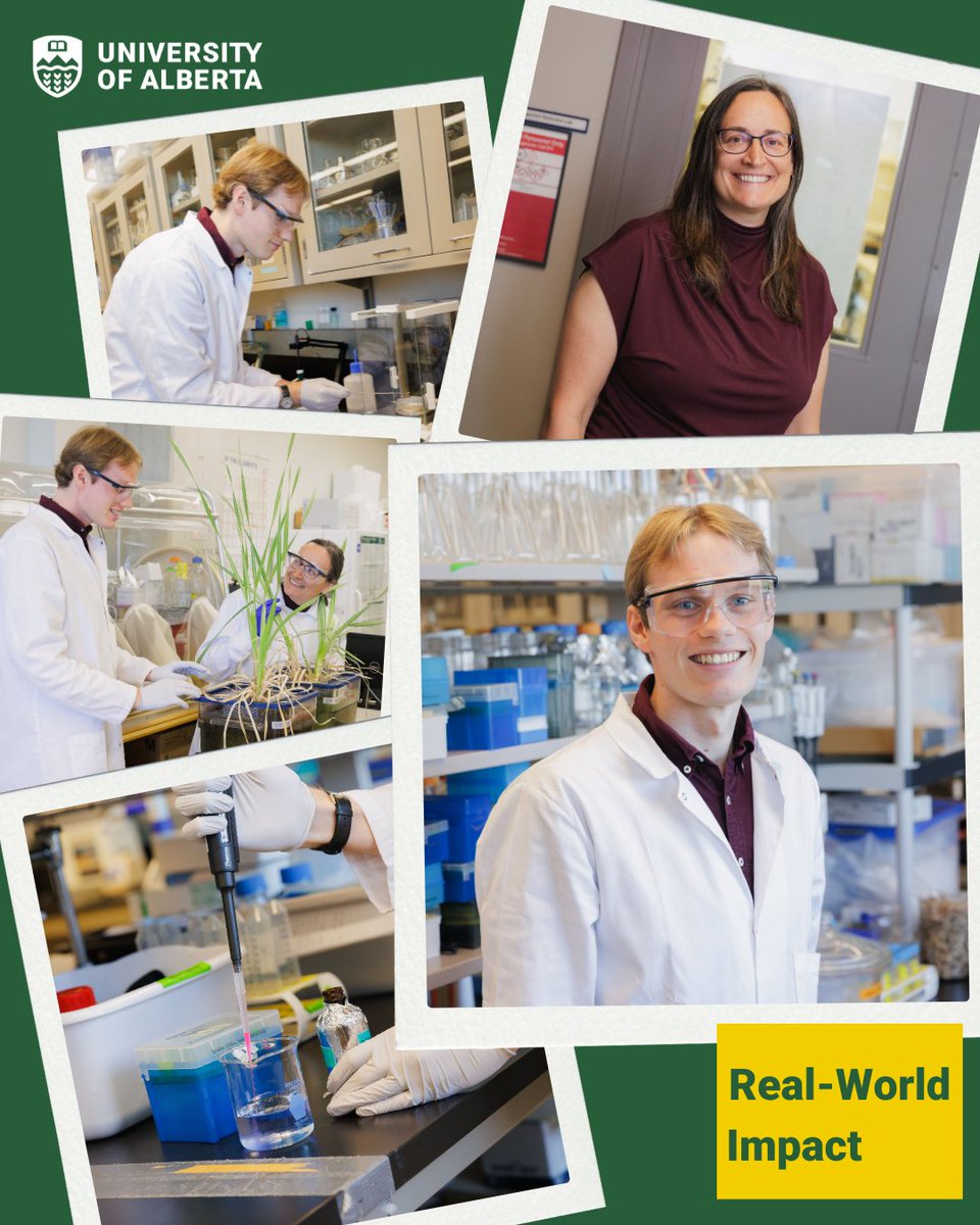 ALEXANDER ENGINEERING