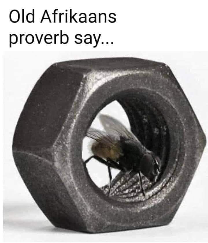 StopPlaasmoorde's tweet image. 40 extreme left Afrikaners.
According to @CharlizeAfrica there should be 4 more.
#notinmyname