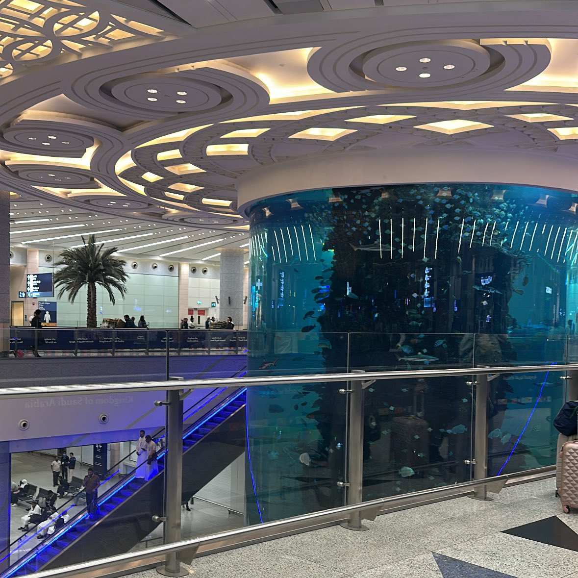 referefz's tweet image. اهلاااً وسهلااً من ارض المحترفين 💥🛡️

تشرفت بحضور المؤتمر الأضخم بالمنطقة الغربية #Hackwave25 المستضاف في @UOfjedd🦾
التقيت بعقول الخبراء من المدافعين والمهاجمين♨️ استفدت وتعلمت وتحمست للجاي..☄️

شكراً @CCS_KKU و جميع من جعل التجربة استثنائية🙏🏻✨ !! Extremely worth it