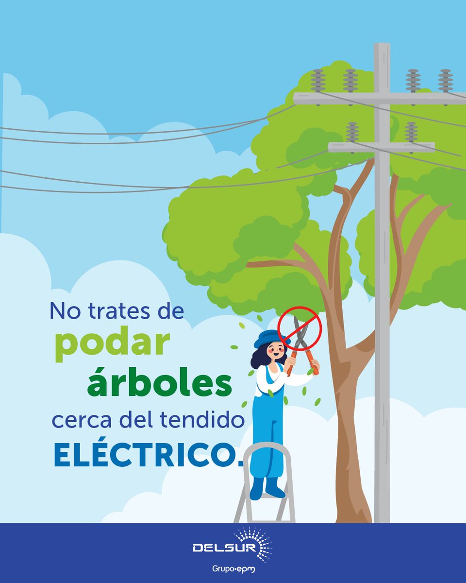 ¡No podes árboles que puedan estar en contacto con líneas eléctricas!

Llama a nuestro Contact Center: 2233-5600 y con gusto te ayudaremos.

¡Queremos ayudarte!