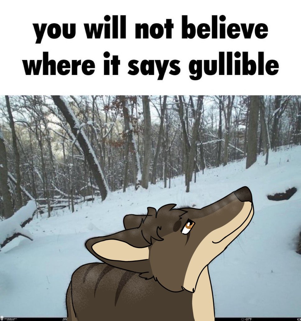 Coobs 🌵 🔜 TFF tweet media