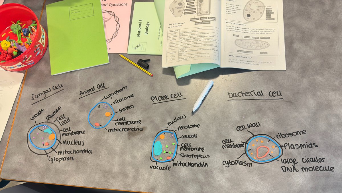 Science Department of Kinross High School tweet media