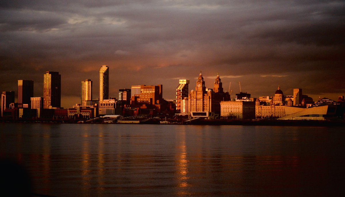 Kevin Male tweet media