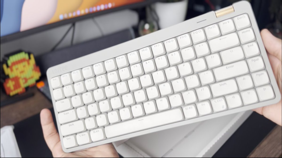 Kuro 🌱 tweet media