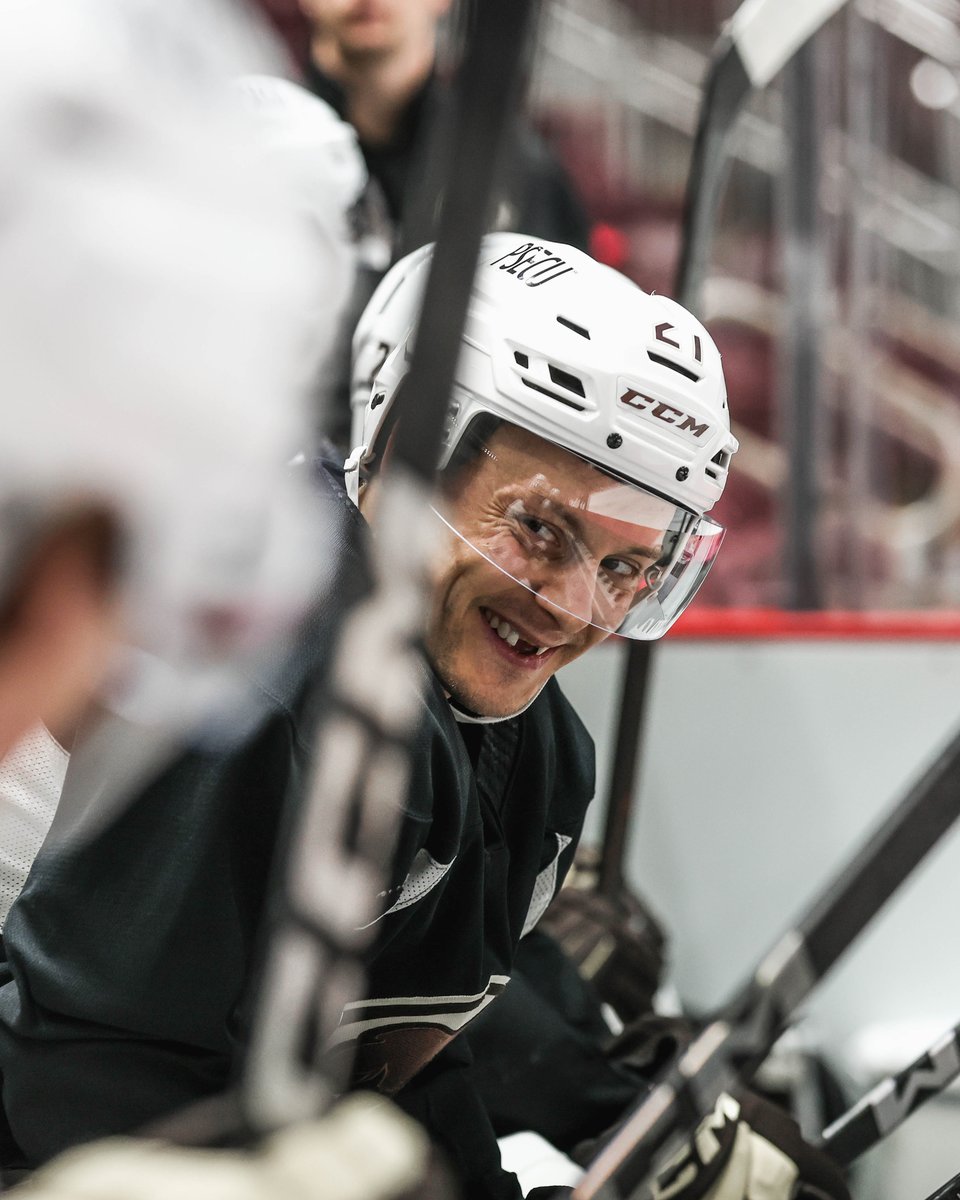 Hershey Bears tweet media