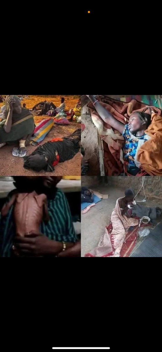 babdalla12's tweet photo. I am from Sudan
At the time I am writing this message, someone is being killed by bombing or execution, another is dying of hunger becoz of the siege
People in Al-Fashir are dying in the most horrific ways
All I do is tell the world about it and pray for them 
#Save_AlFashir https://t.co/yGZdY6alKZ