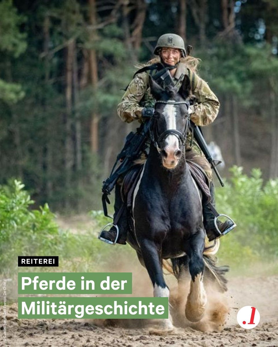 ❗Pferde 🎠 werden von jeher beim #Militär eingesetzt. Wir zeigen Euch einige moderne Möglichkeiten - und Szenen aus der Geschichte. Im ersten Bild: Eine Soldatin bei einem Reiterwettbewerb in den #Niederlanden. Ein Militärpferd ist sogar Filmstar geworden - in Steven #Spielbergs
