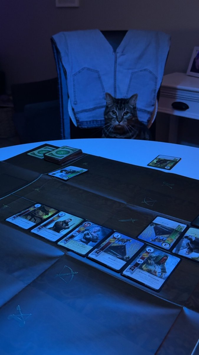 HailCaranthir's tweet photo. @NoLoadingGames_ #PlayNoLoading happy anniversary! Here’s a pic of my most ruthless Gwent opponent… https://t.co/bWM2VtV1RS
