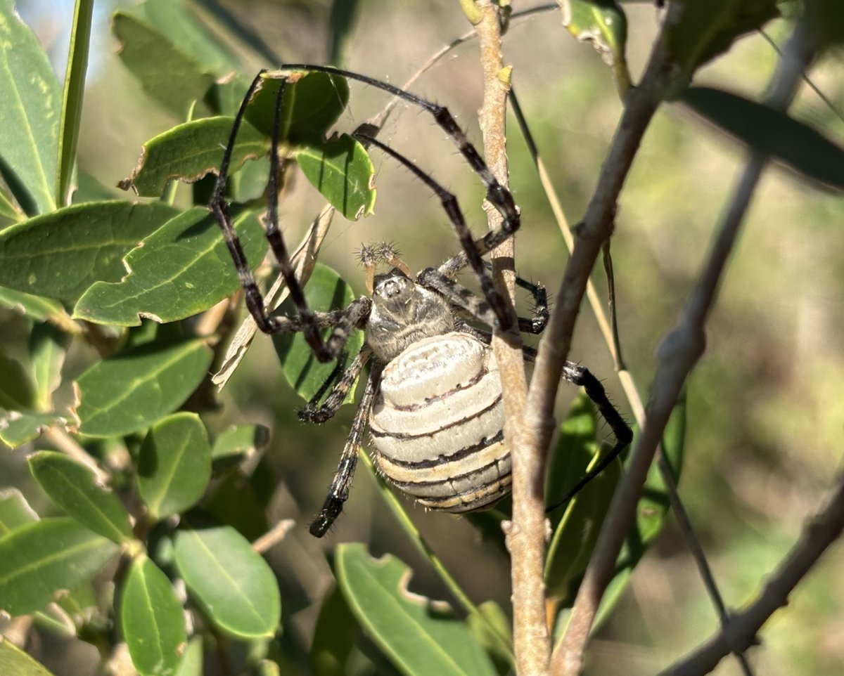 Reefpaths tweet media