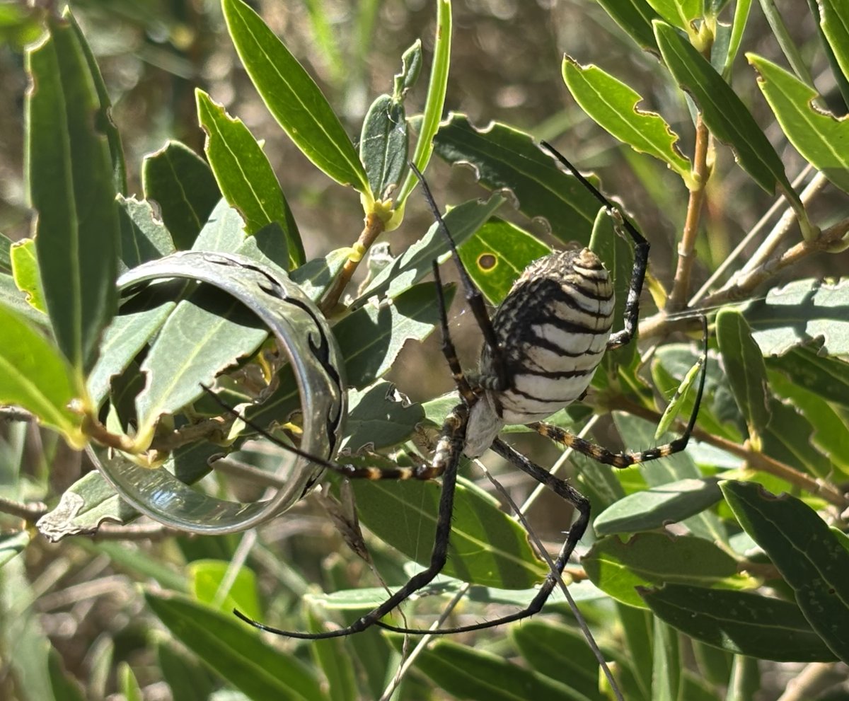 Reefpaths tweet media