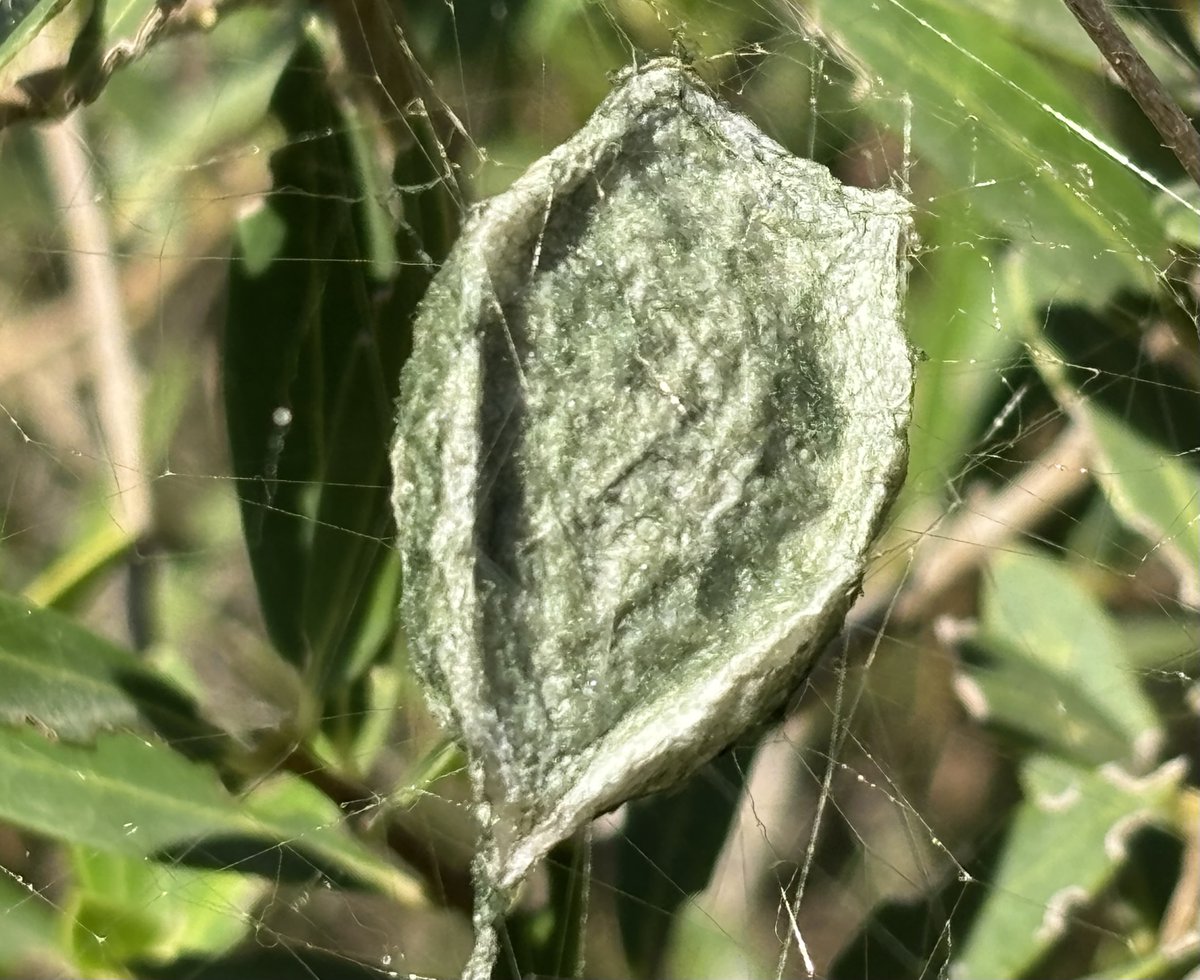 Reefpaths tweet media