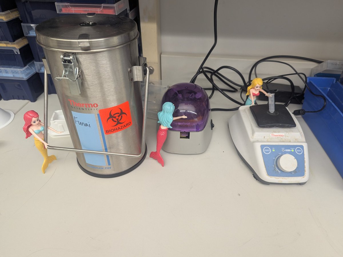 Stephen Decker tweet media