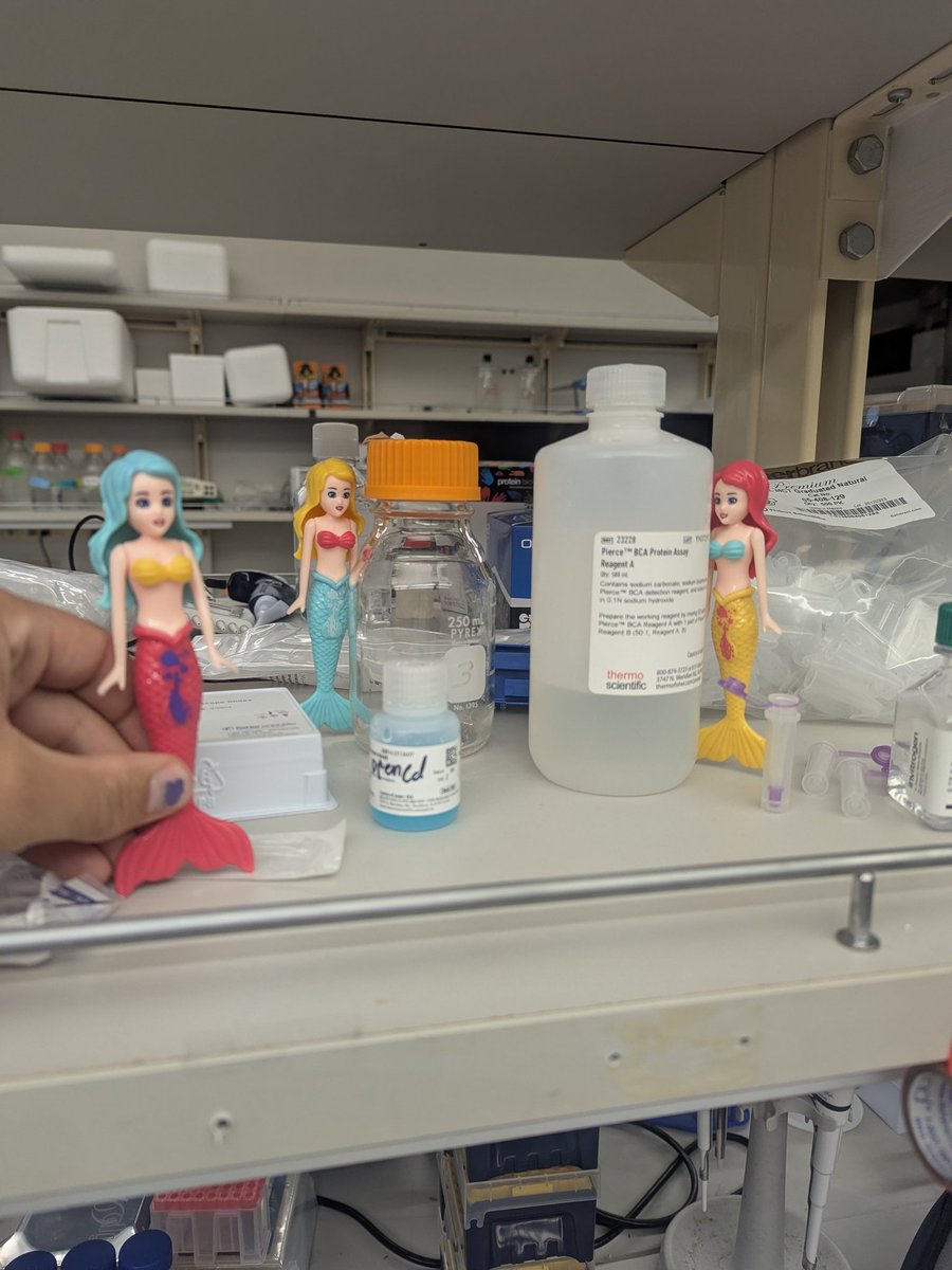 Stephen Decker tweet media