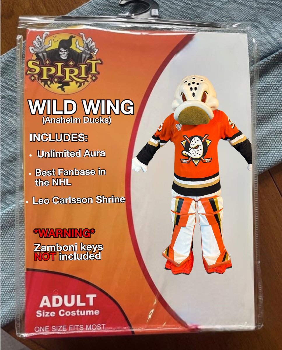 Wild Wing tweet media