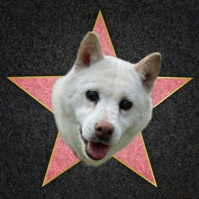 MoonfeedApe tweet media