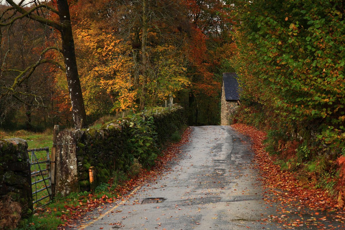 Rainbows and Autumn colours heading up Easedale this morning.