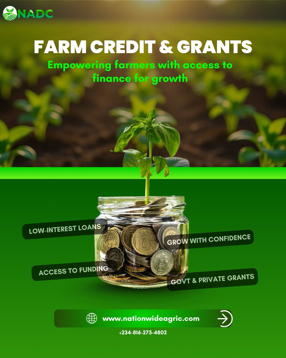 NADCagro's tweet photo. 💡Access to Finance remains one of the biggest challenges facing farmers today.
⁣
For many farmers, the dream of expanding their farms, buying better equipment, or improving yields often ends at one major challenge: lack of funding.⁣ https://t.co/DXYuO18Jxn