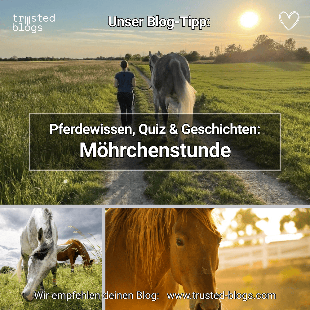 trustedblogs's tweet image. 🔎 Blog: Möhrchenstunde

ℹ️ Pferdewissen, Forschungsergebnisse &amp;amp; humorvolle Geschichten rund ums #Pferd.

👉 trusted-blogs.com/magazin/blog/d…

Mehr Reichweite für deinen #Blog.
Jetzt kostenlos anmelden: trusted-blogs.com 💚