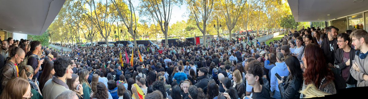 ¿Qué recibimiento os ha gustado más?

Vito Quiles, hijo de puta
Vito, colega, acaba la carrera 
Tanta universitat i no t'has graduat 
Puto pijo, vete a casa 
Desde el río hasta el mar, Vito Quiles Subnormal.

Esa València bonita que los ha expulsado a todos 💜
No pasaréis