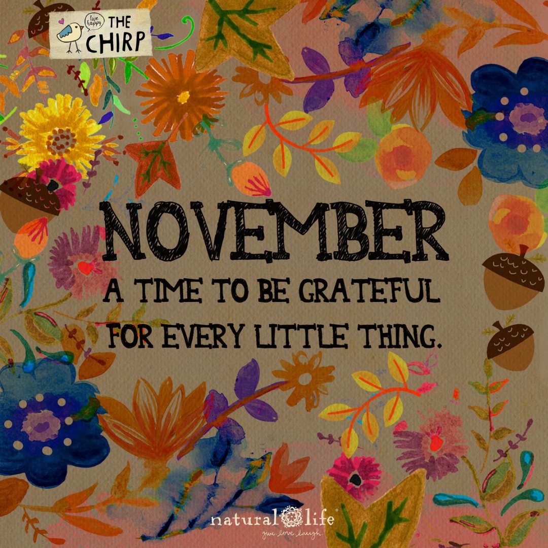 Fill in the blank! 💛 “Today I’m grateful for _______.”

bit.ly/NLyourmorningc…