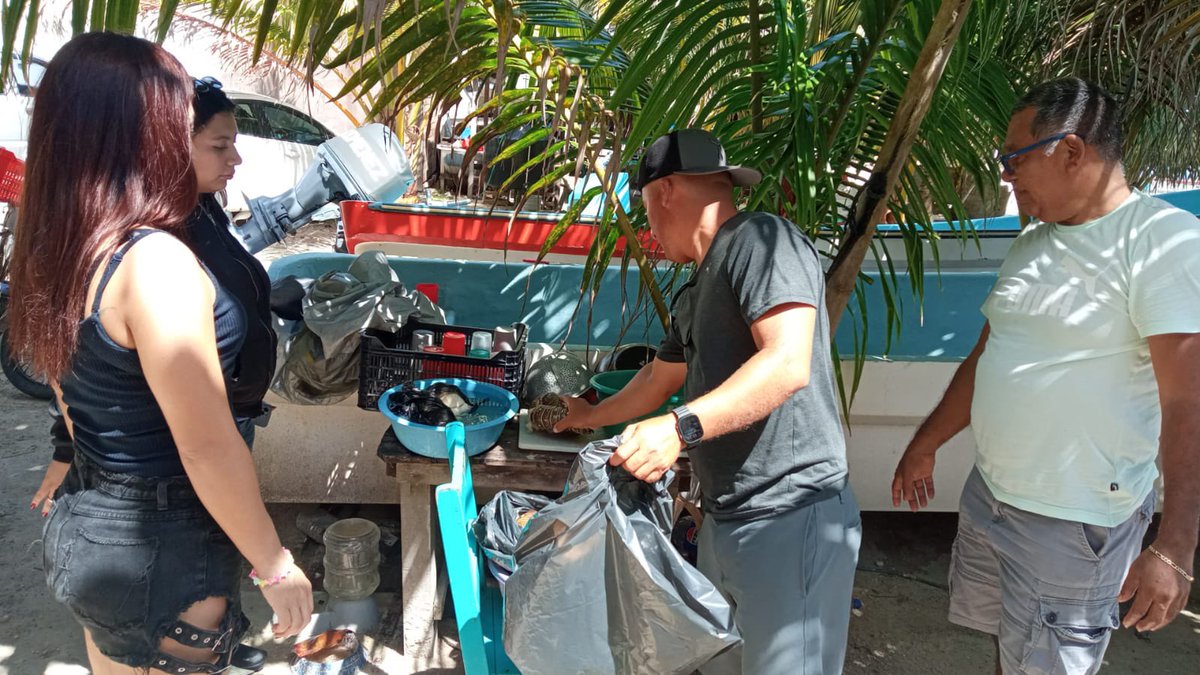 Cosorema tweet media