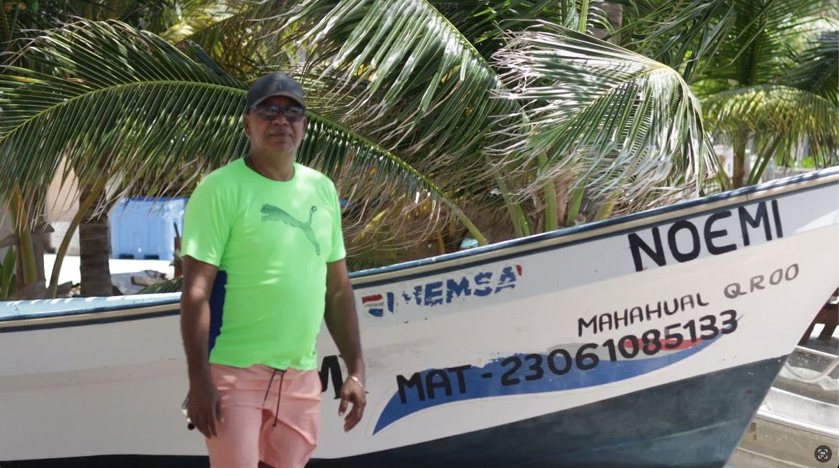 Cosorema tweet media