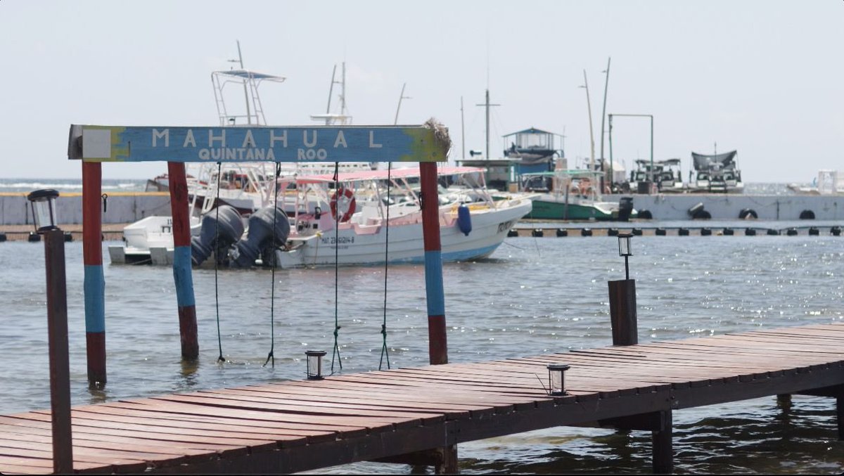 Cosorema tweet media