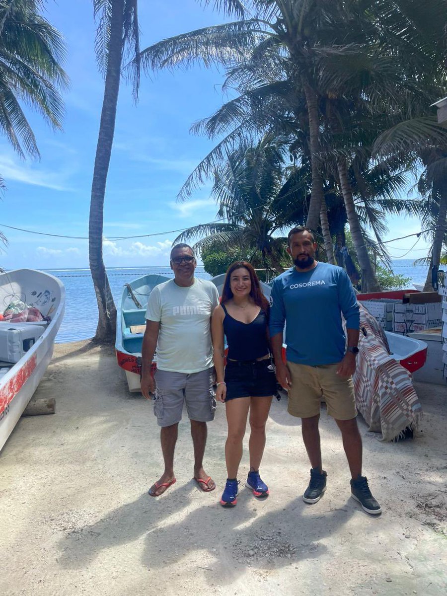 Cosorema tweet media