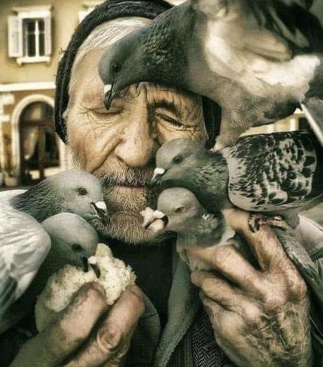 “Yabancılığı yaşamışsın, yaşamı değil..”