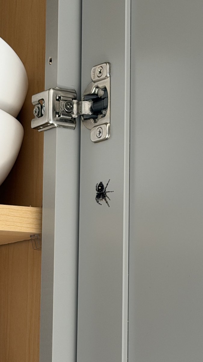 sweetcsdesigns's tweet image. Brb, burning my townhouse to the ground